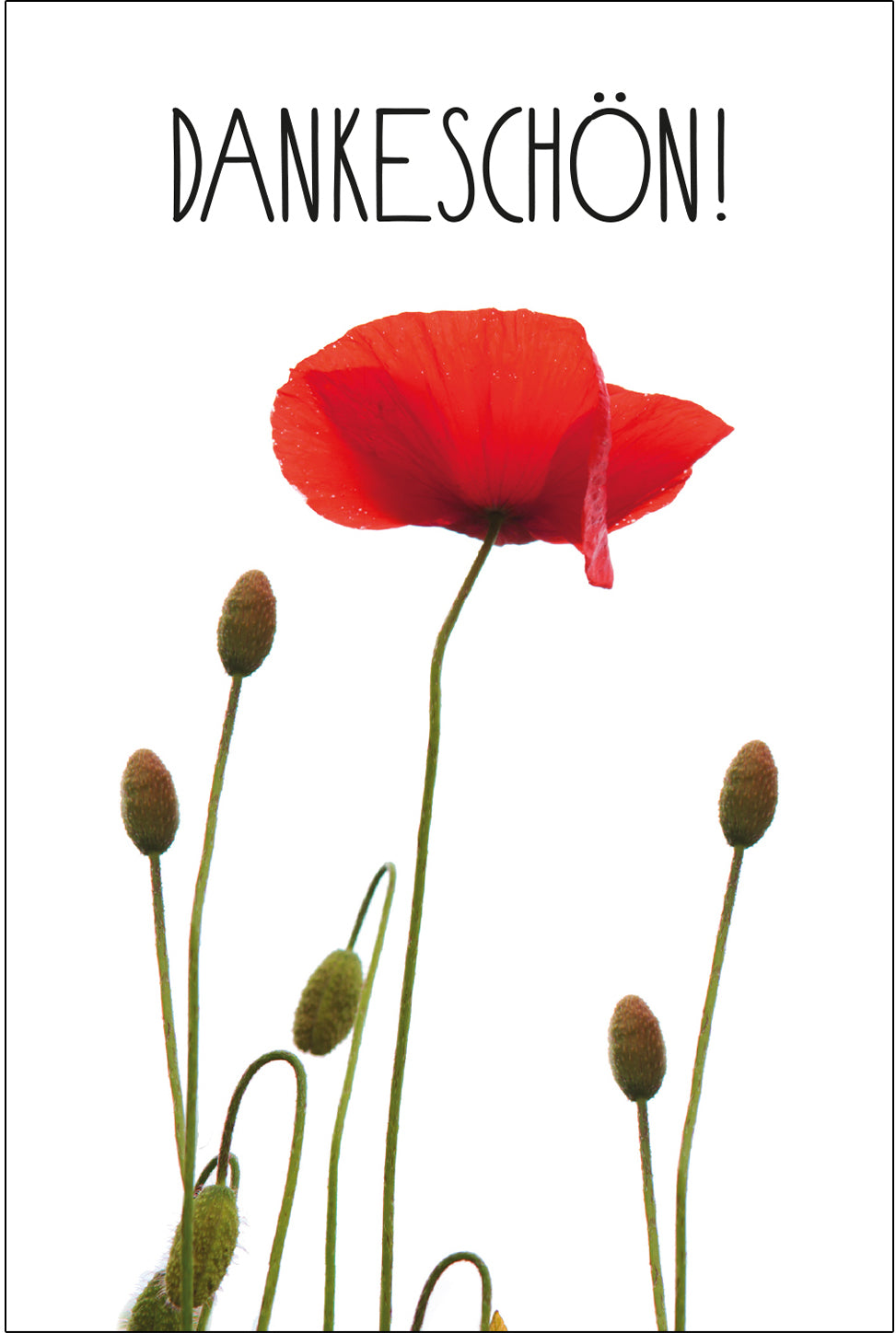 6 Premium Dankeskarten (Klappkarten) mit 6 Umschlägen, Danke Karten Grußkarte Merz Designkarten