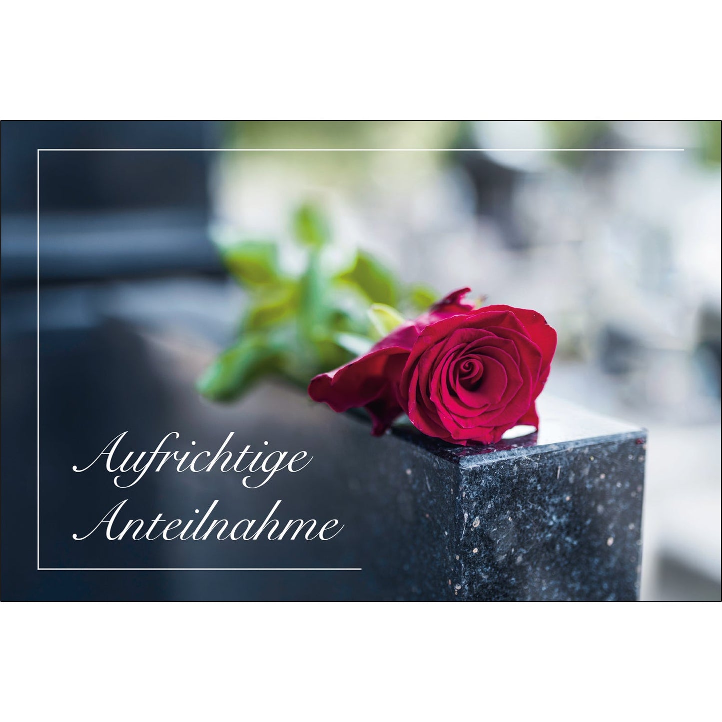 18 einfühlsame Trauerkarten Beileidskarten Klappkarten mit Briefumschlag Spruch Merz Designkarten