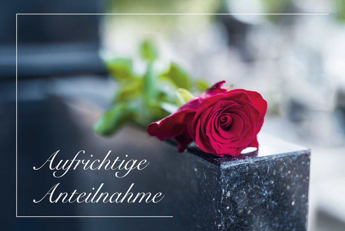 6 einfühlsame Trauerkarten Beileidskarten Klappkarten mit Briefumschlag Spruch