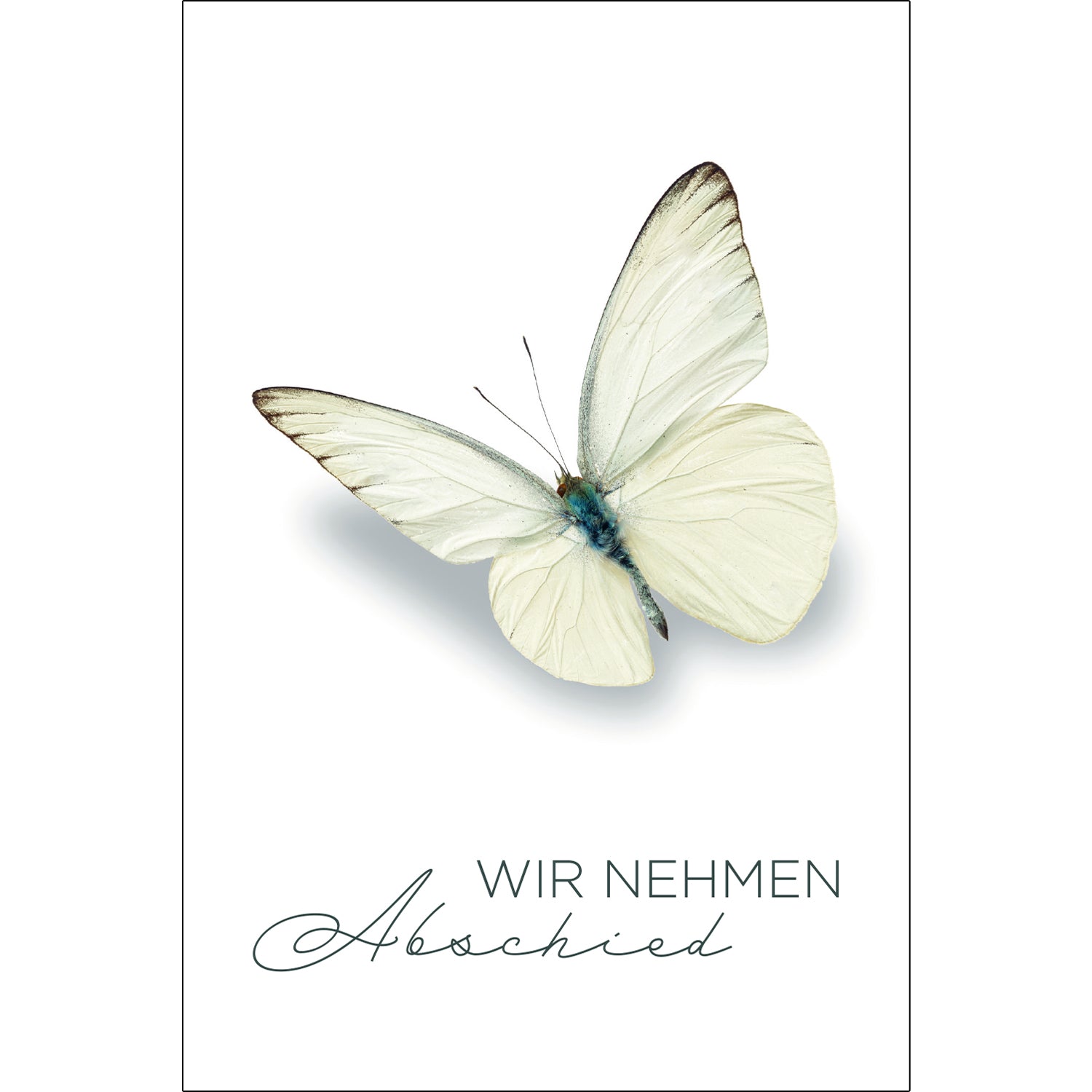 30 Trauerkarten Danksagung Klappkarten mit 30 Umschläge, Set -Beerdigung Danke Merz Designkarten