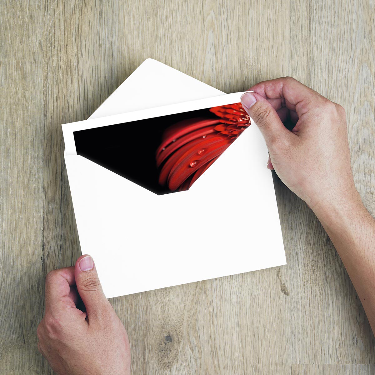 Hochwertiger weißer Kuvert mit schwarzem Futter in Hand, nachhaltiges Design, 15 Trauerkarten Set.
