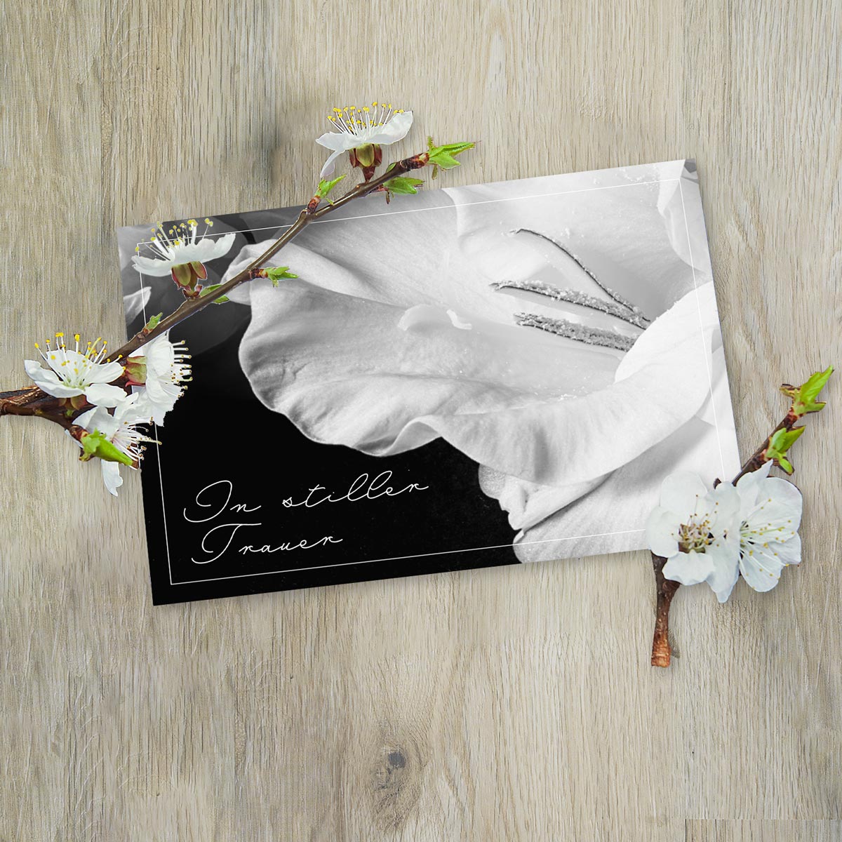 Trauerkarte mit hochwertigem nachhaltigem Design, weiße Blüte auf schwarzem Hintergrund, Schriftzug „In stiller Trauer“.
