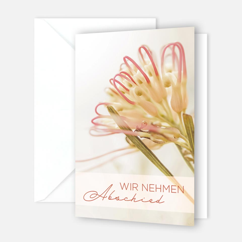 15 Trauerkarten Einladung zur Trauerfeier  mit 15 Umschläge Merz Designkarten