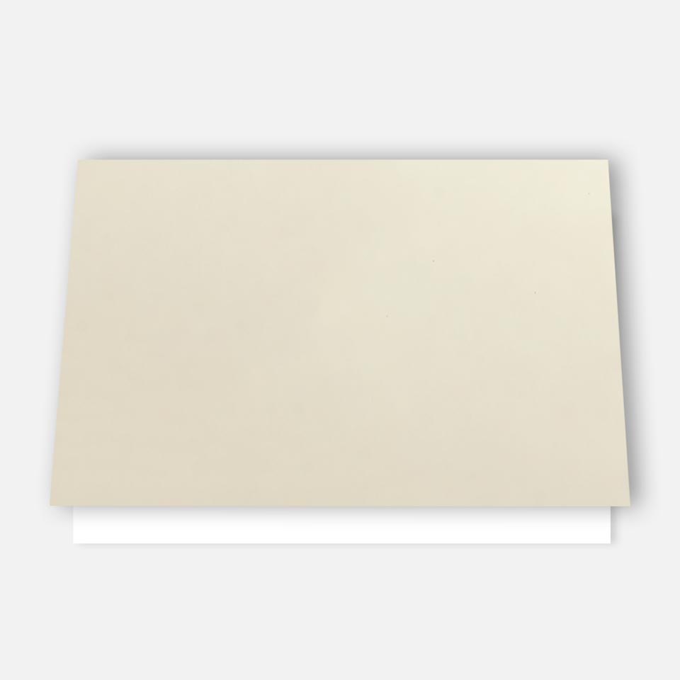 50 Premium Tischkarten Platzkarten Tischkärtchen-Hochzeit, Geburtstag, Taufe etc Merz Designkarten