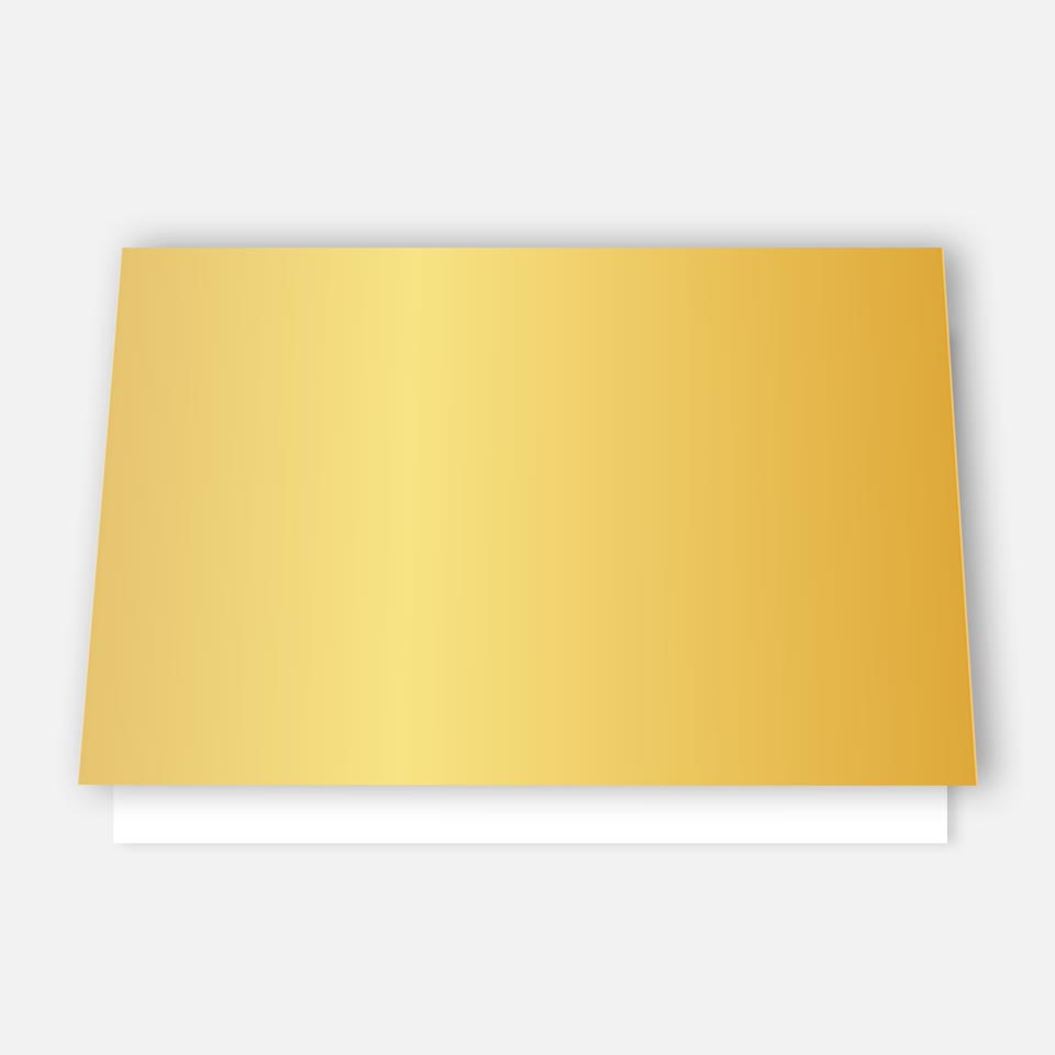 50 Premium-Tischkarten Platzkarten Namenskarten Namensschilder Hochzeit Feier