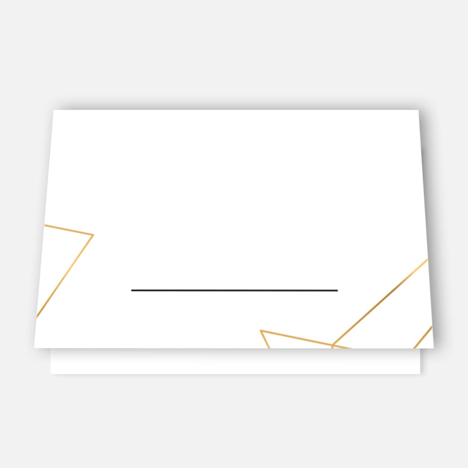 50 Premium-Tischkarten Platzkarten Namenskarten Namensschilder Hochzeit Feier Merz Designkarten