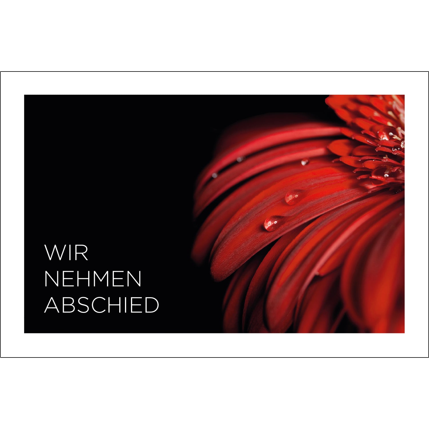 GXGM 18 Weihnachtskarten Mit Umschlägen – Premium Klappkarten Aus Kraftpapier, Verschiedene Designs, Für Weihnachtsgrüße