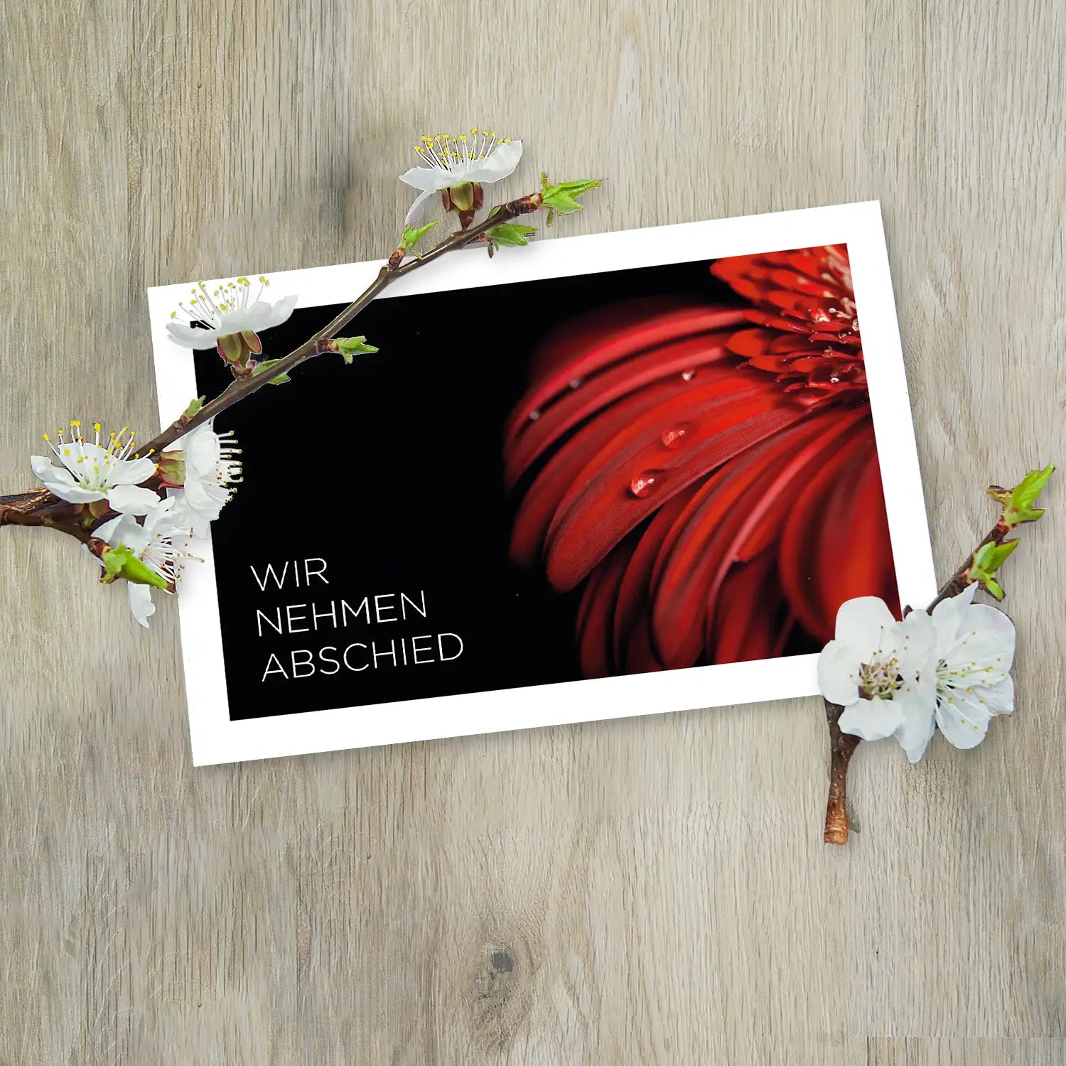 Hochwertige Beileidskarte mit roter Blüte, Wassertröpfchen, dunklem Design und Text "Wir nehmen Abschied".